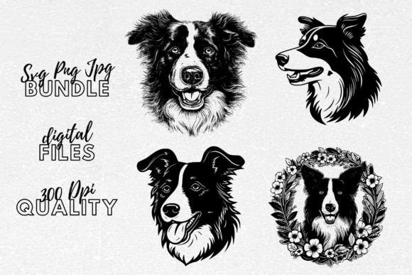 Border Collie SVG - Dog Breeds Clipart