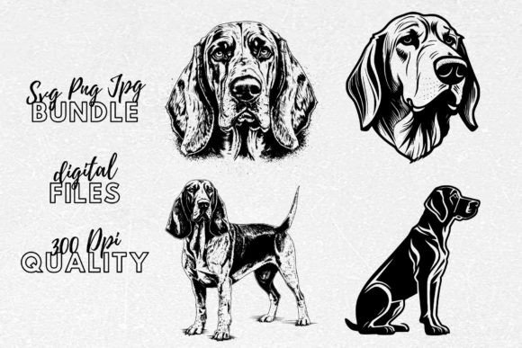 Coonhound SVG - Dog Breeds Clipart